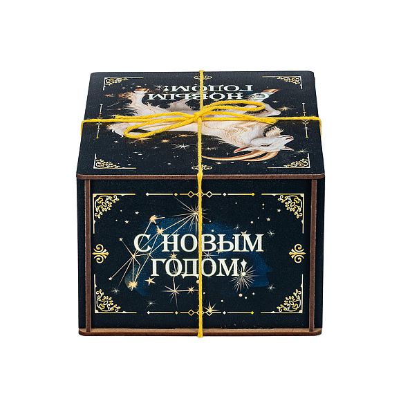 Сладкий новогодний подарок Сладкий подарок «Созвездие Козерога»